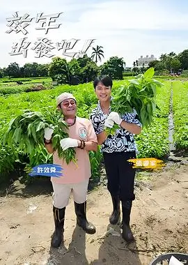 声生不息夏音乐综艺免费在线观看